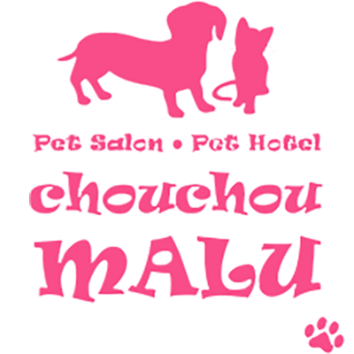 chouchou MALU