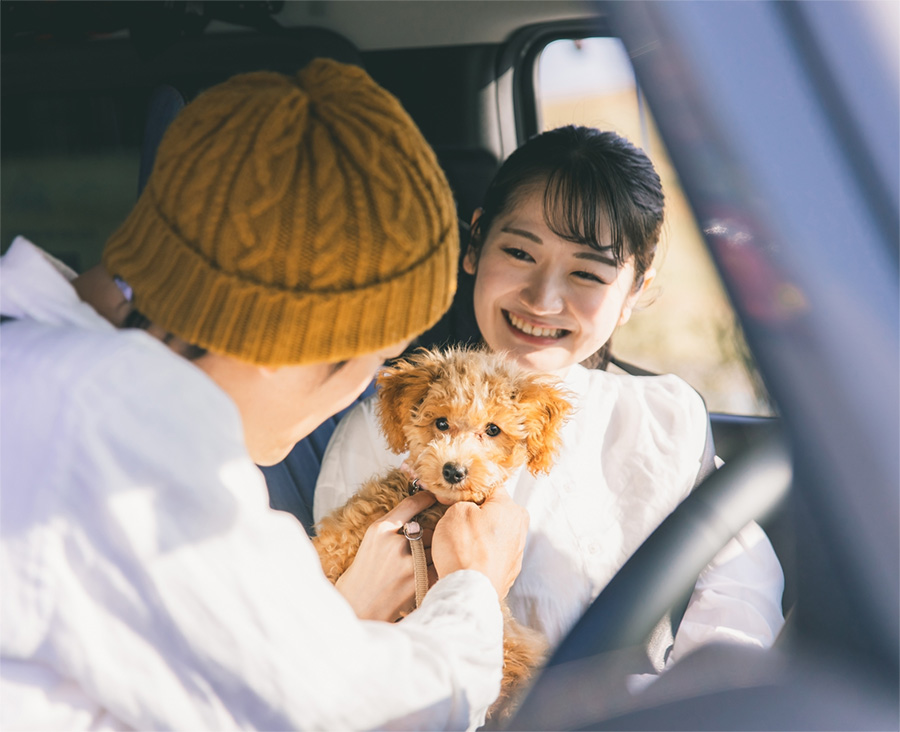 Qualification System